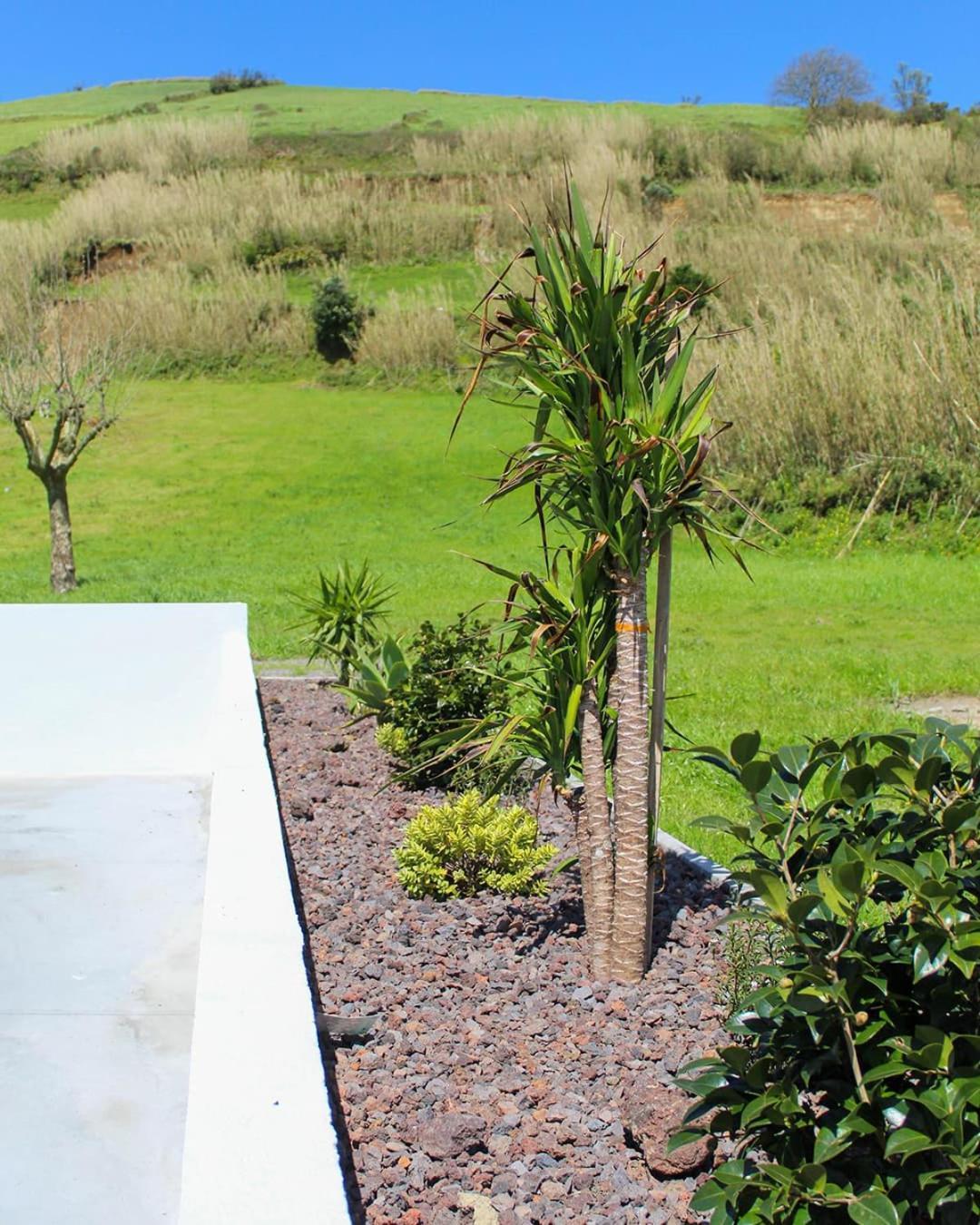 Dreamscape Villa Ponta Delgada Zewnętrze zdjęcie
